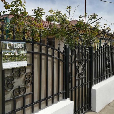 Delta Florilor Ξενοδοχείο Σουλινάς Εξωτερικό φωτογραφία