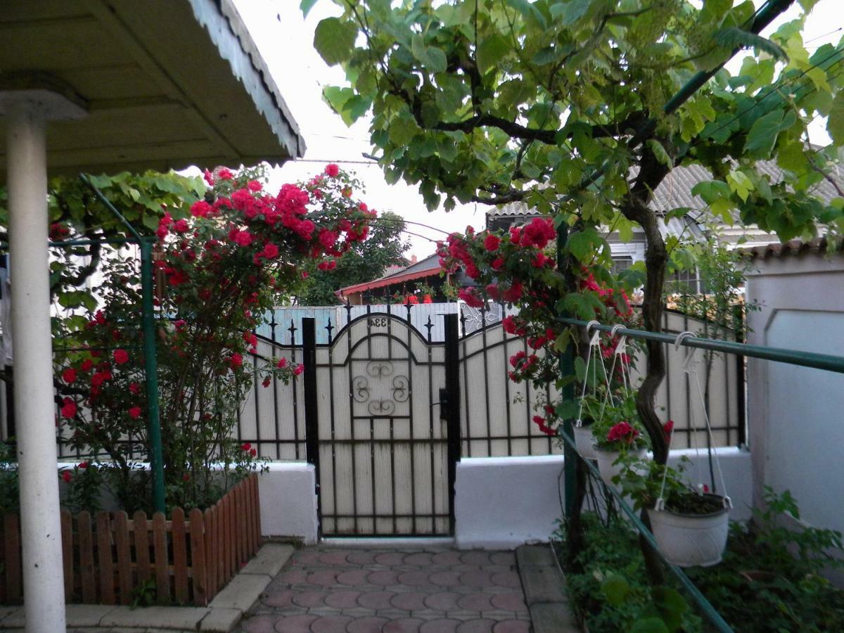 Delta Florilor Ξενοδοχείο Σουλινάς Εξωτερικό φωτογραφία