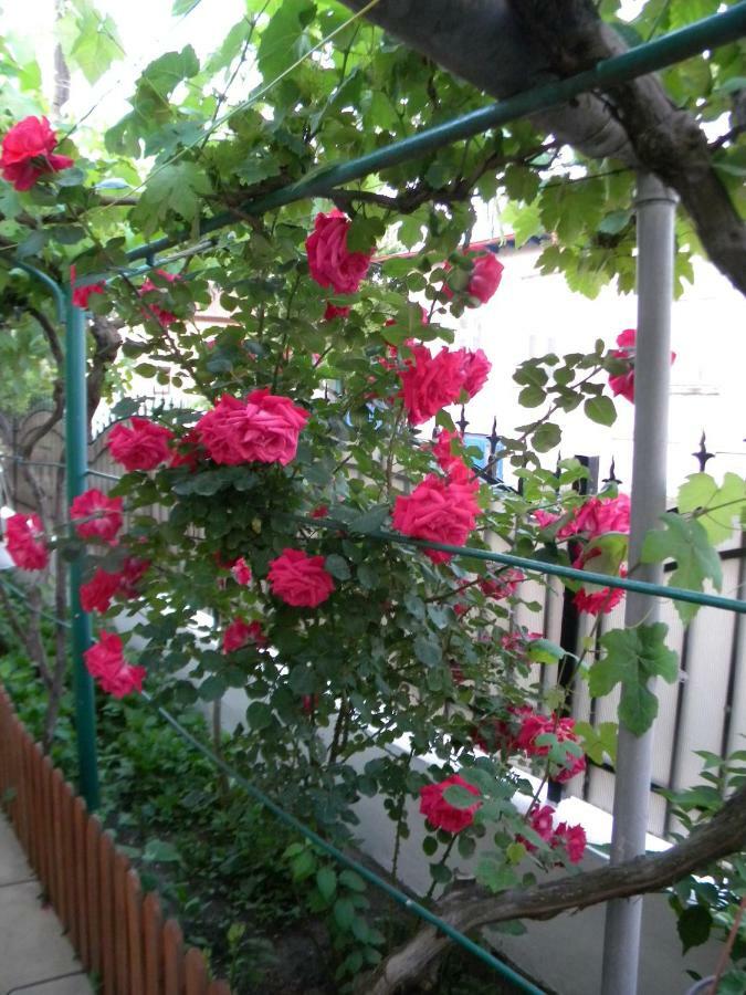 Delta Florilor Ξενοδοχείο Σουλινάς Εξωτερικό φωτογραφία